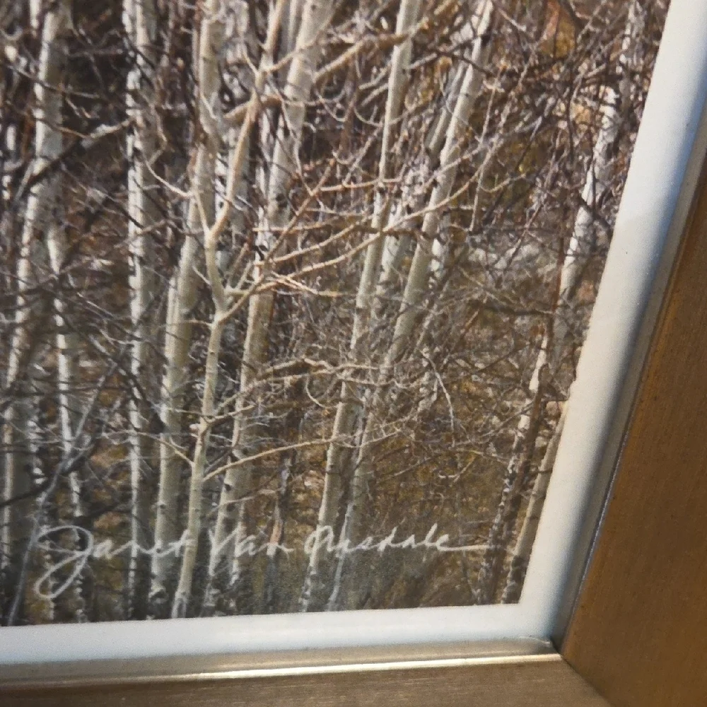 Golden Aspen Forest Wall Art with Brown Frame